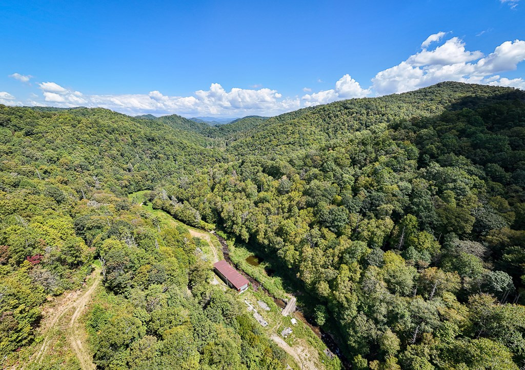 9765 Little Snowbird Road Property Photo 13