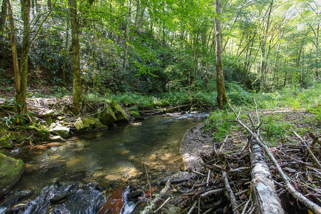 9765 Little Snowbird Road Property Photo 14