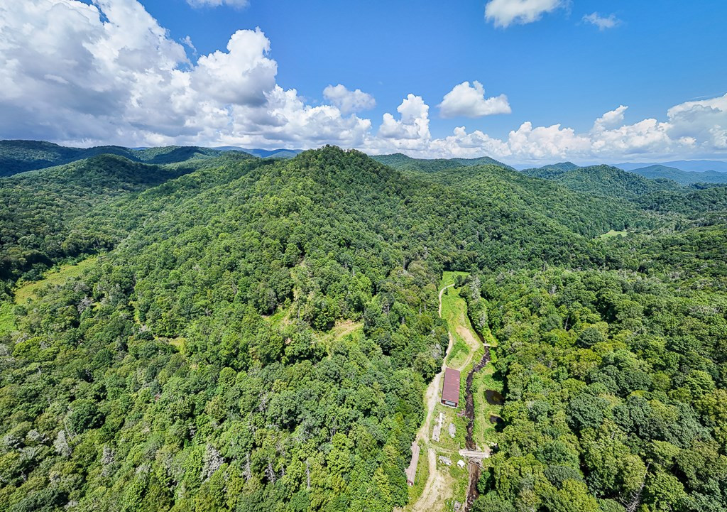 9765 Little Snowbird Road Property Photo 15