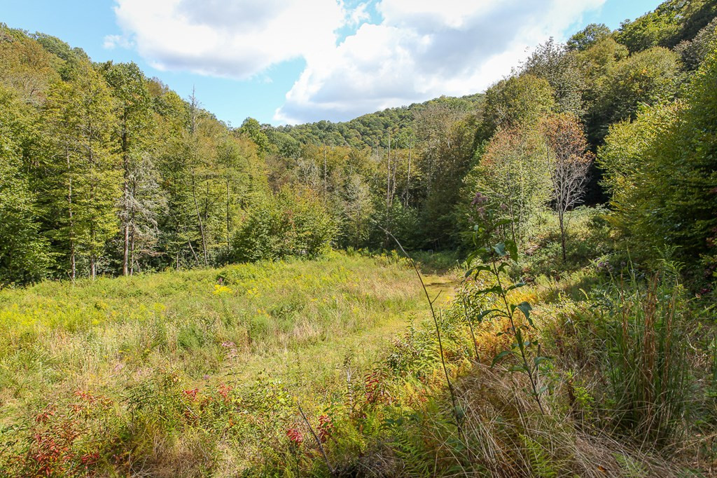9765 Little Snowbird Road Property Photo 17