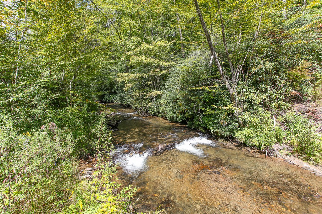 9765 Little Snowbird Road Property Photo 18