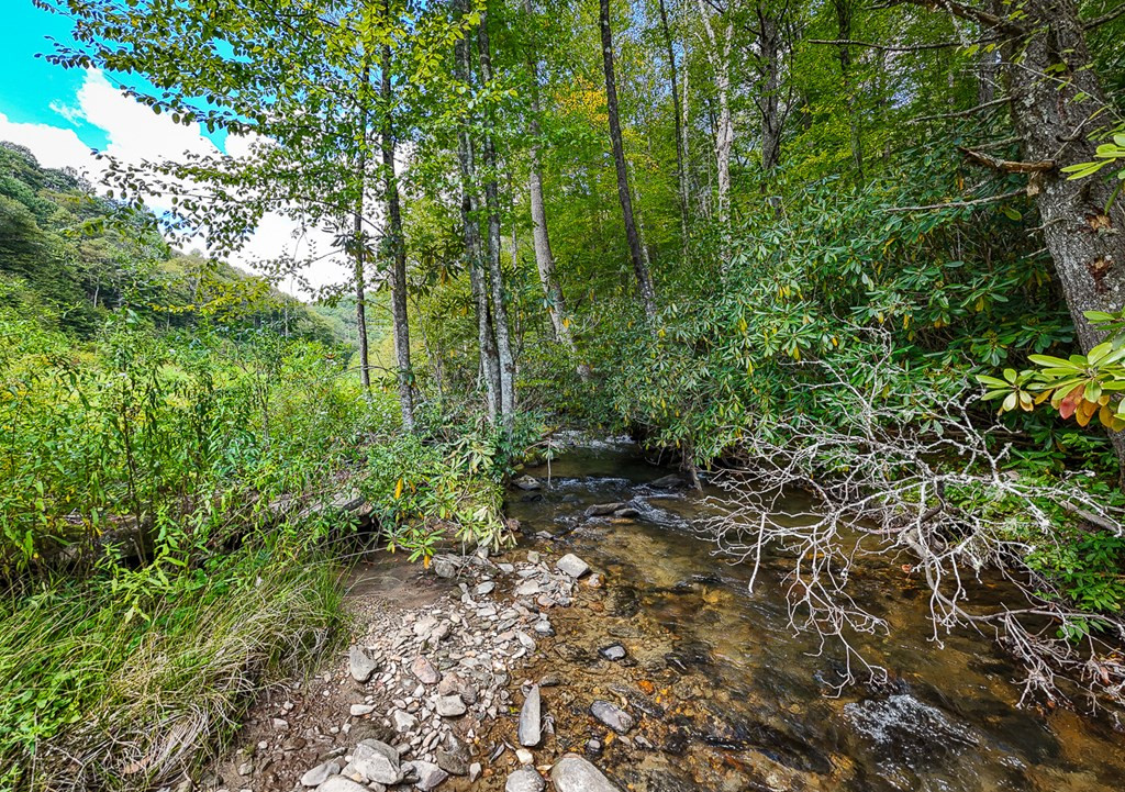 9765 Little Snowbird Road Property Photo 19