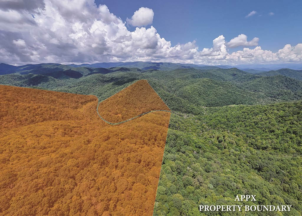 9765 Little Snowbird Road Property Photo 21