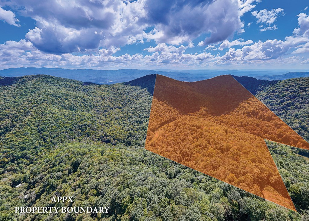 9765 Little Snowbird Road Property Photo 22