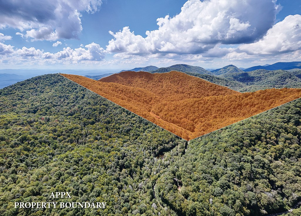9765 Little Snowbird Road Property Photo 23