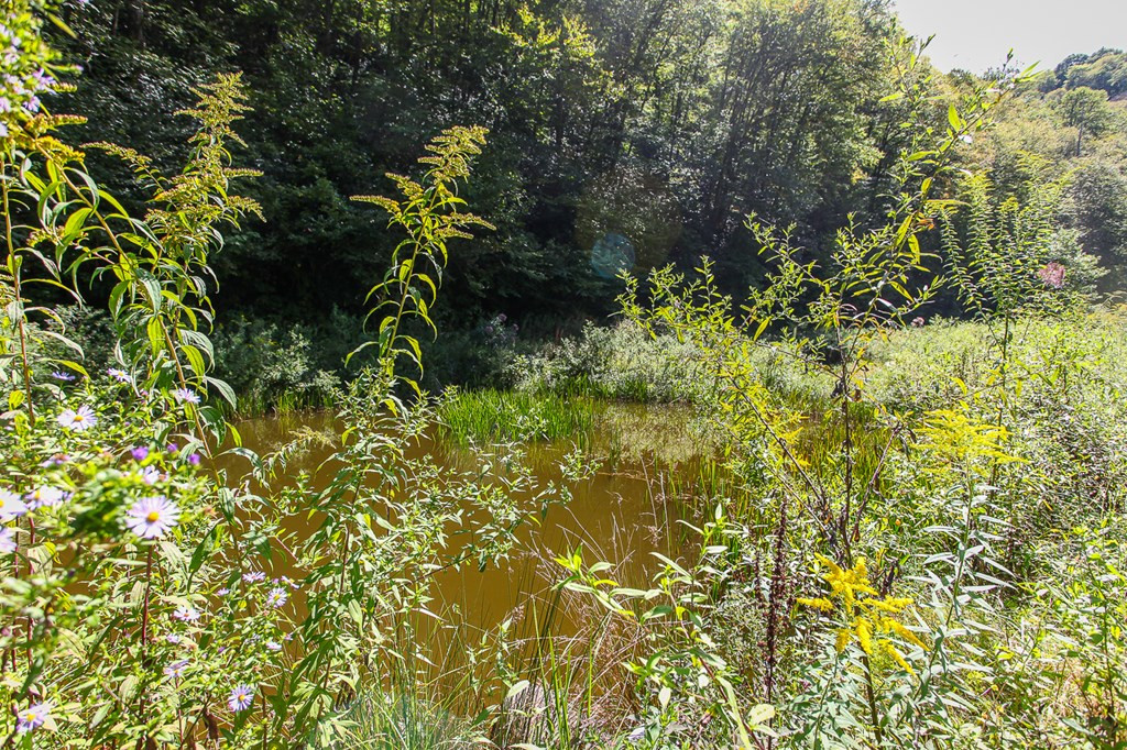 9765 Little Snowbird Road Property Photo 24