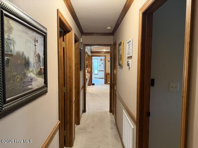 301 Davis Street Property Photo 43