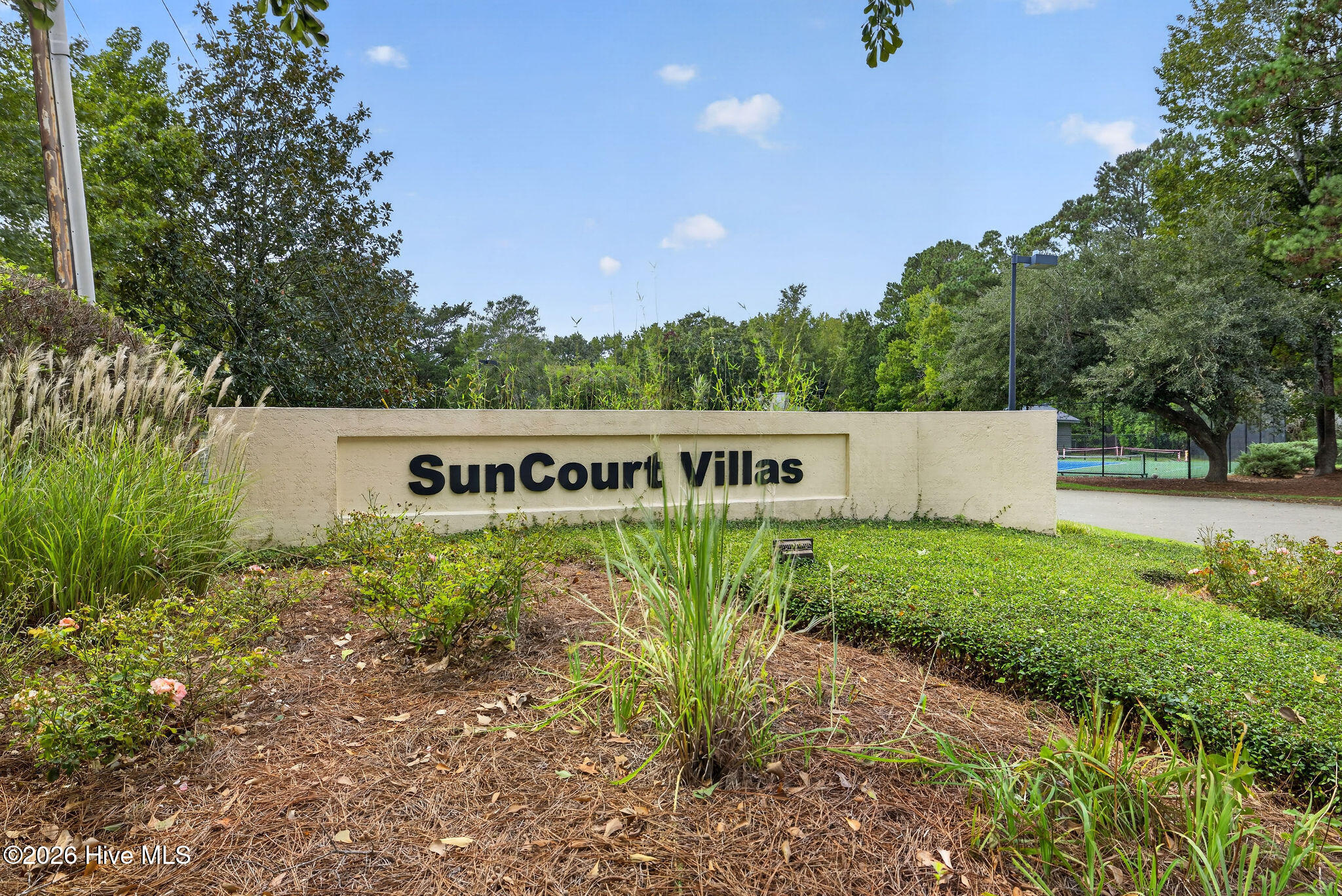 1425 Suncourt Villa Drive Property Photo 35