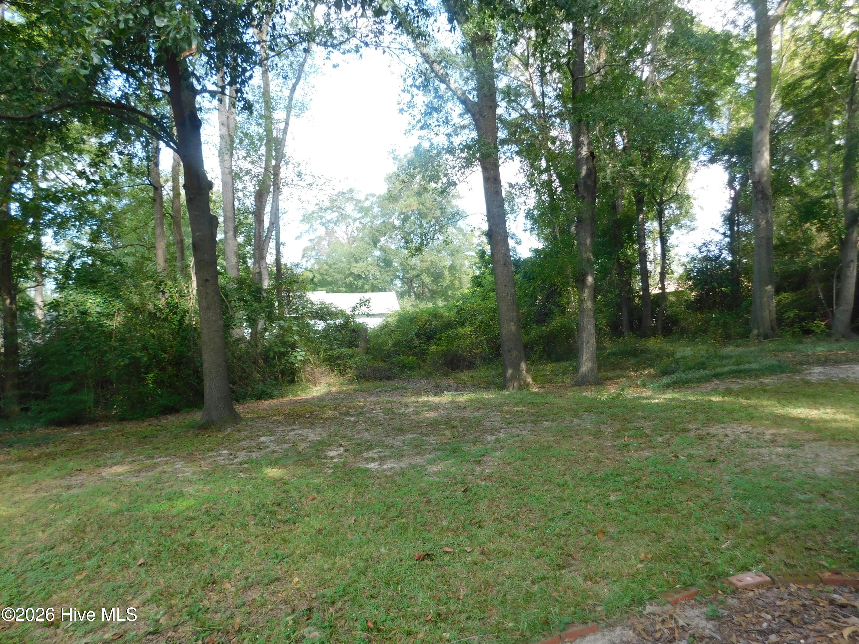 12601 Cotton Drive Property Photo 47