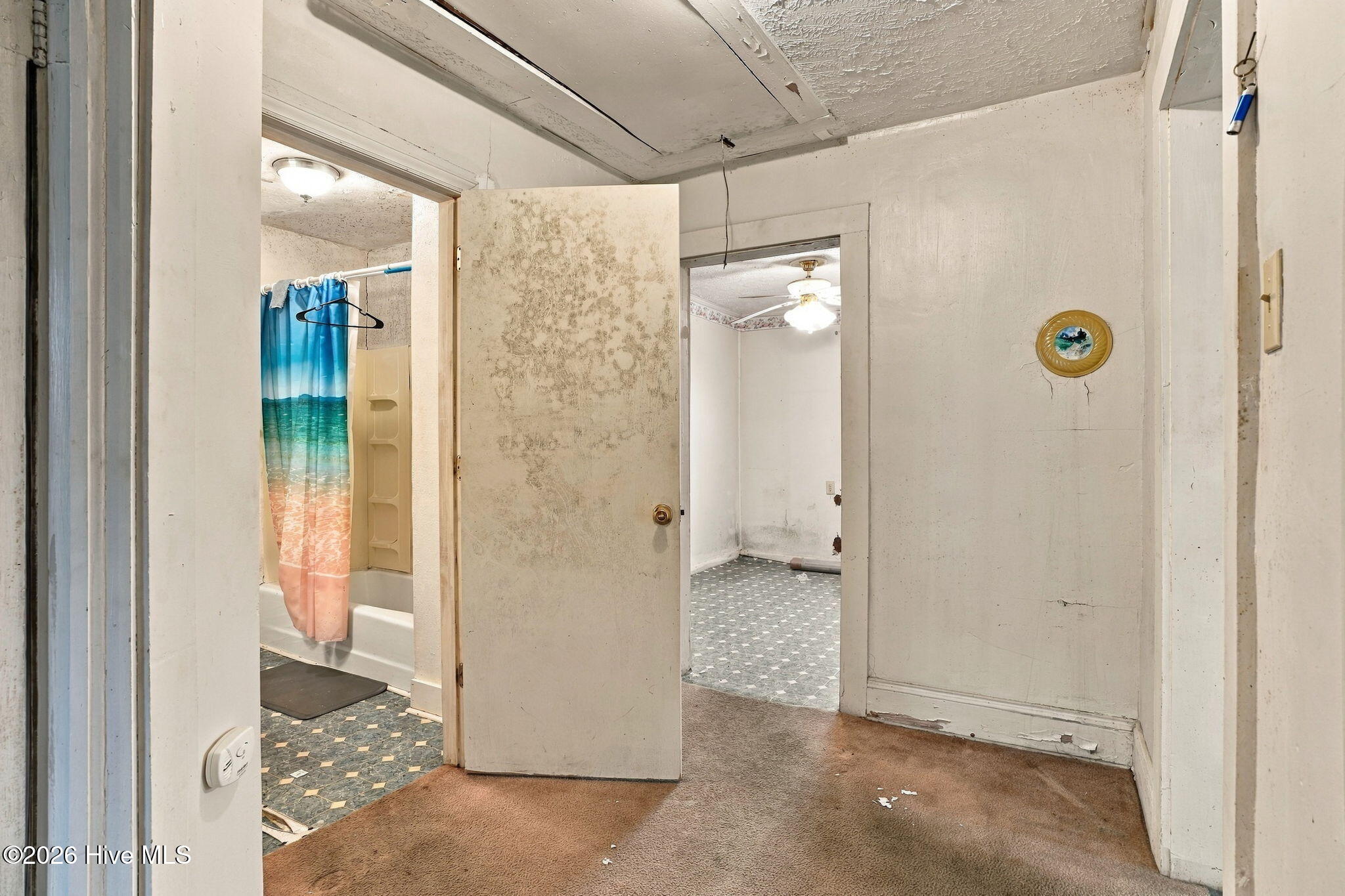 305 N Charles Street Property Photo 23