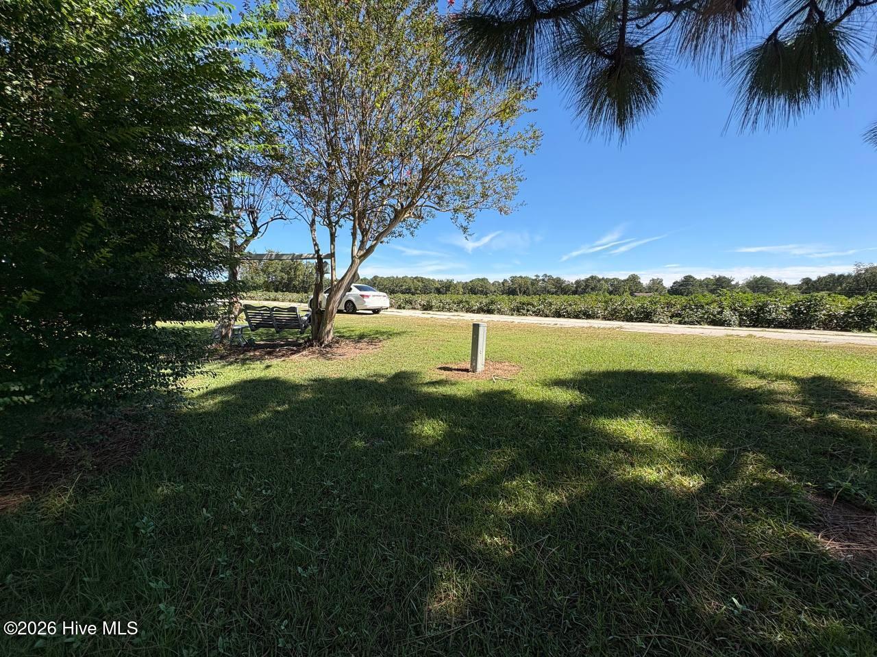 141 Bliss Drive Property Photo 5