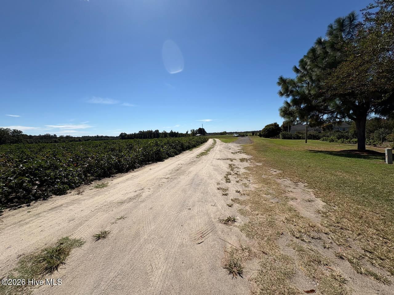 141 Bliss Drive Property Photo 8