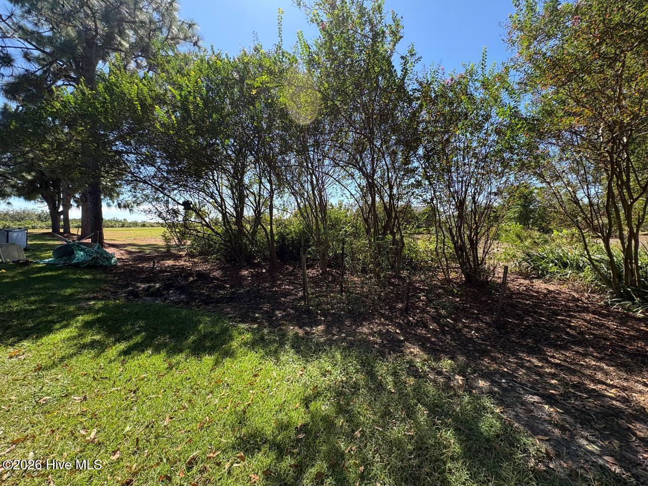 141 Bliss Drive Property Photo 30