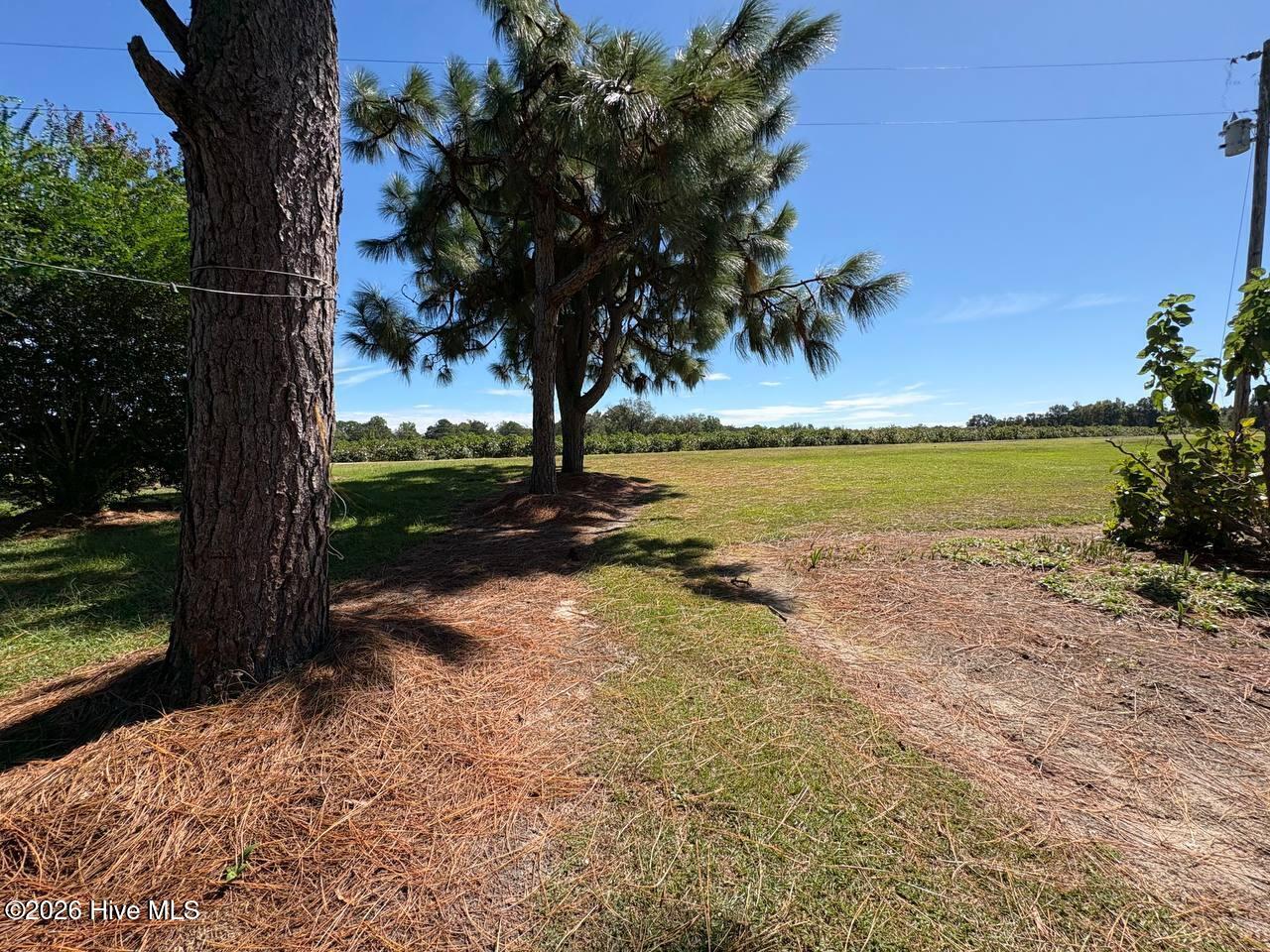 141 Bliss Drive Property Photo 36
