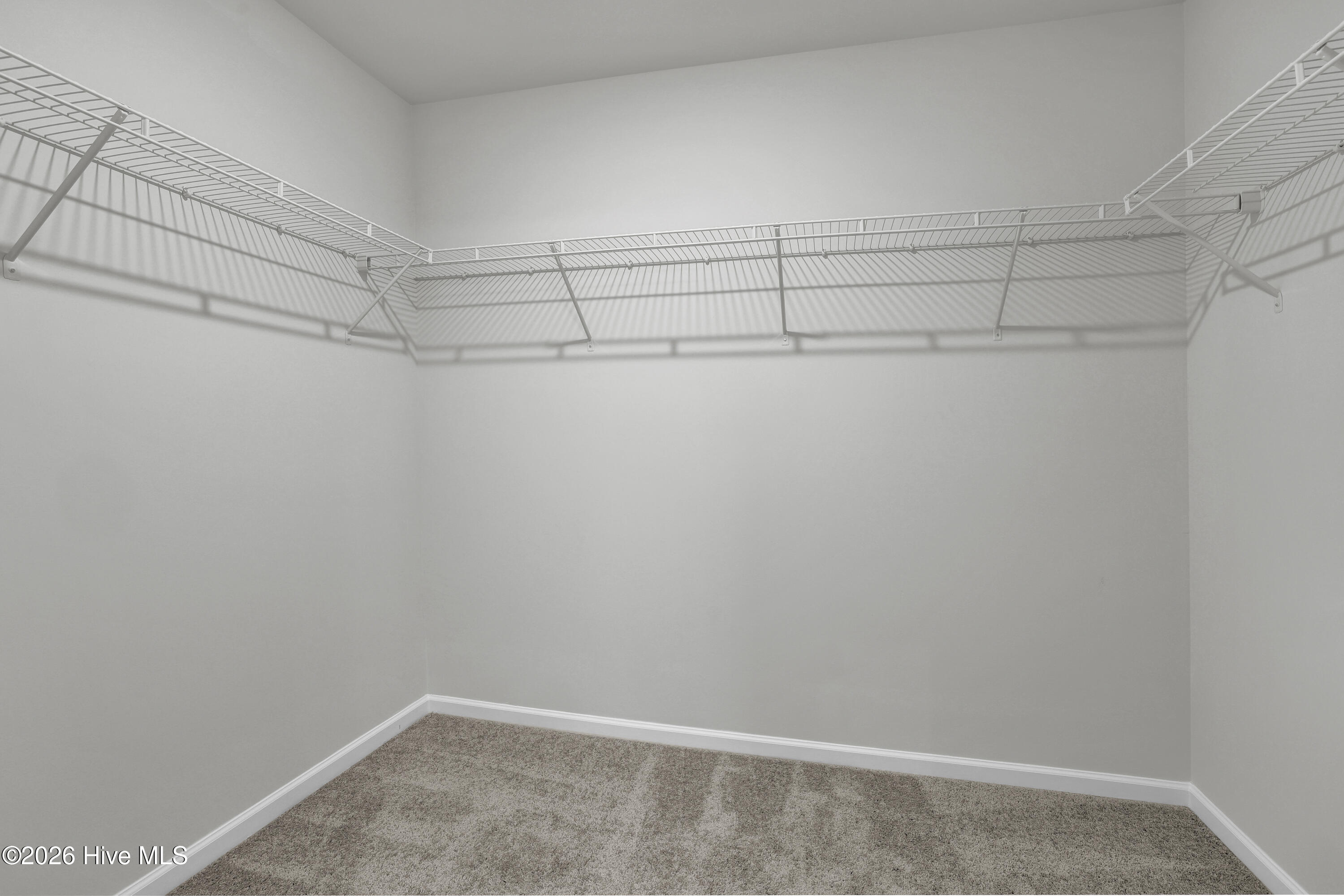 1153 Tennessee Walker Way Property Photo 12