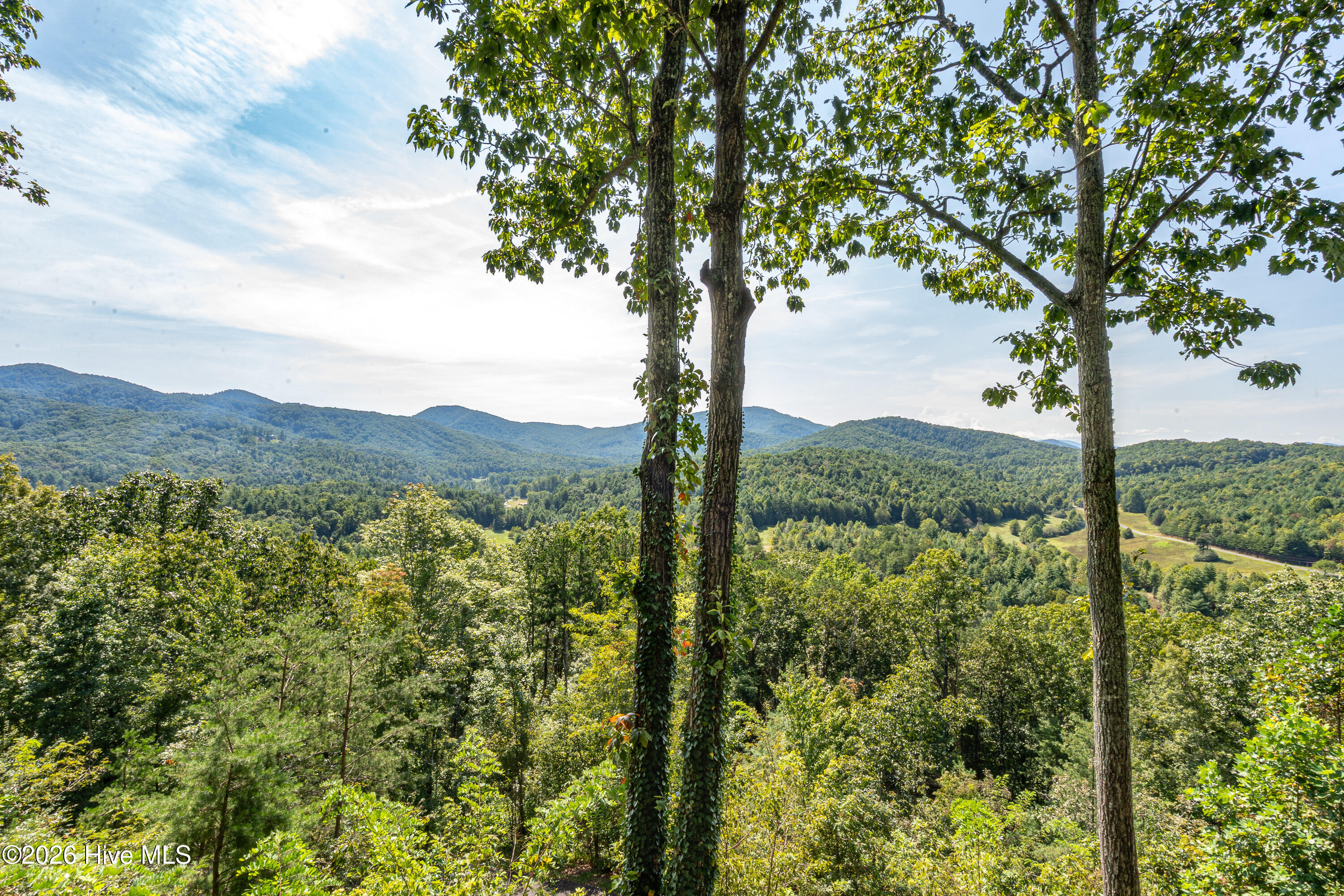 346 View Ridge Trail Property Photo 14