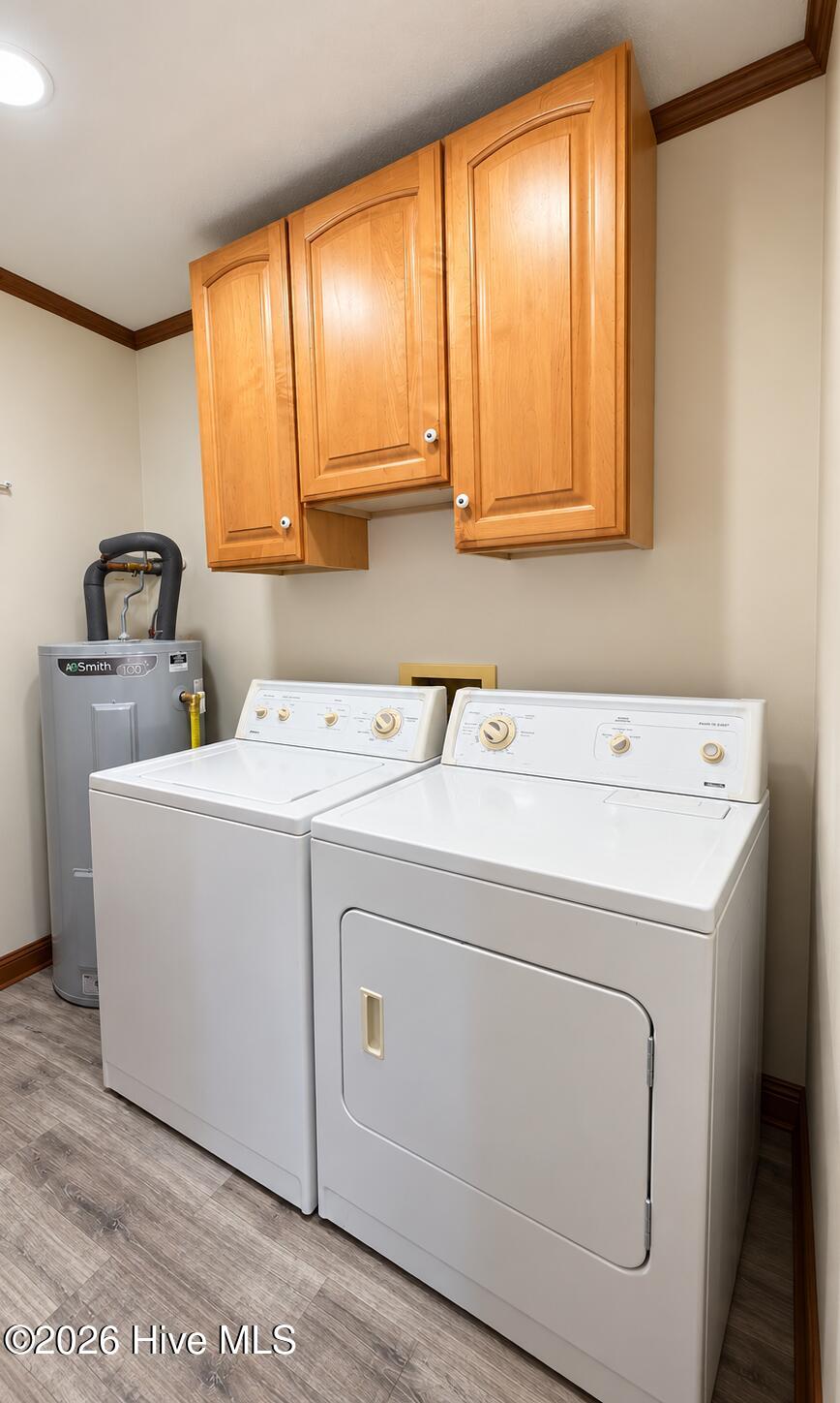 116 Webb Street Property Photo 19