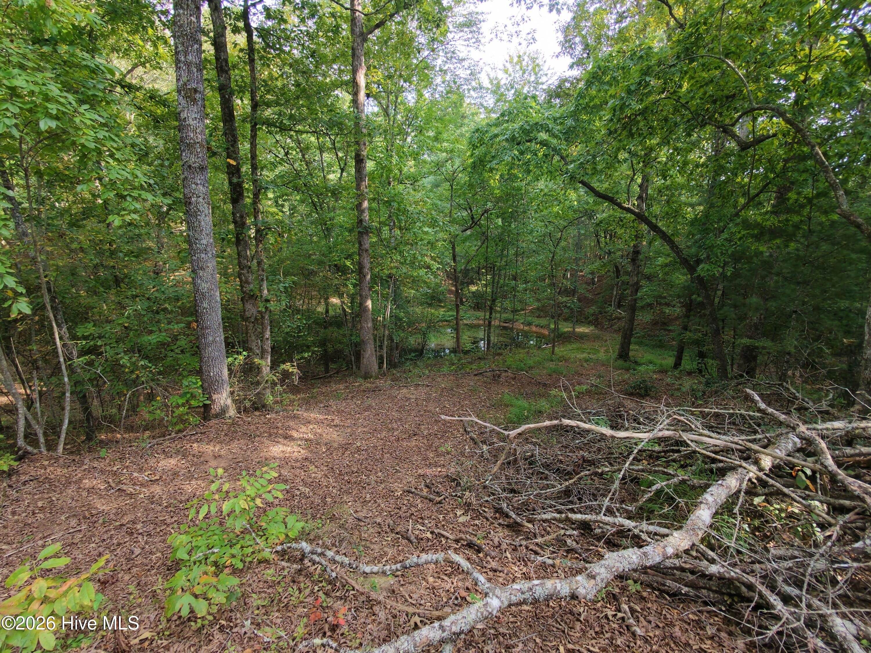 490 Nichols Road Property Photo 39