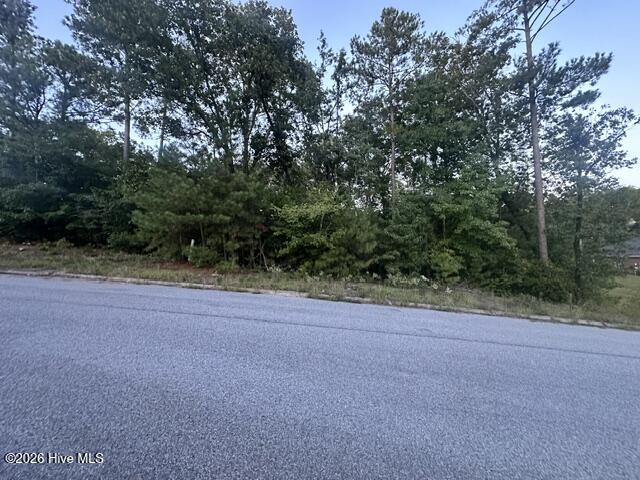 3915 Bolton Street Property Photo 4