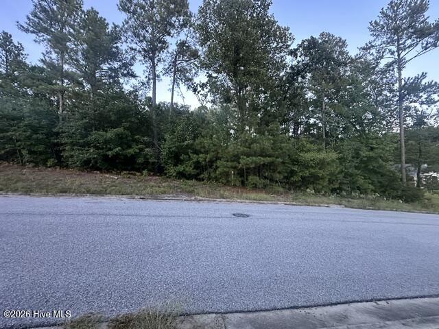 3915 Bolton Street Property Photo 5