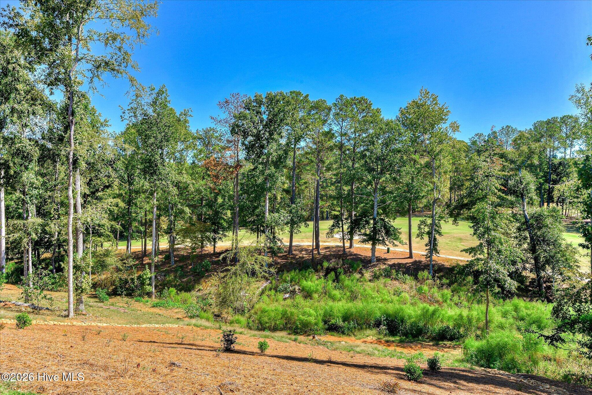 20 Independent Hill Lane Lot 6 Property Photo 66