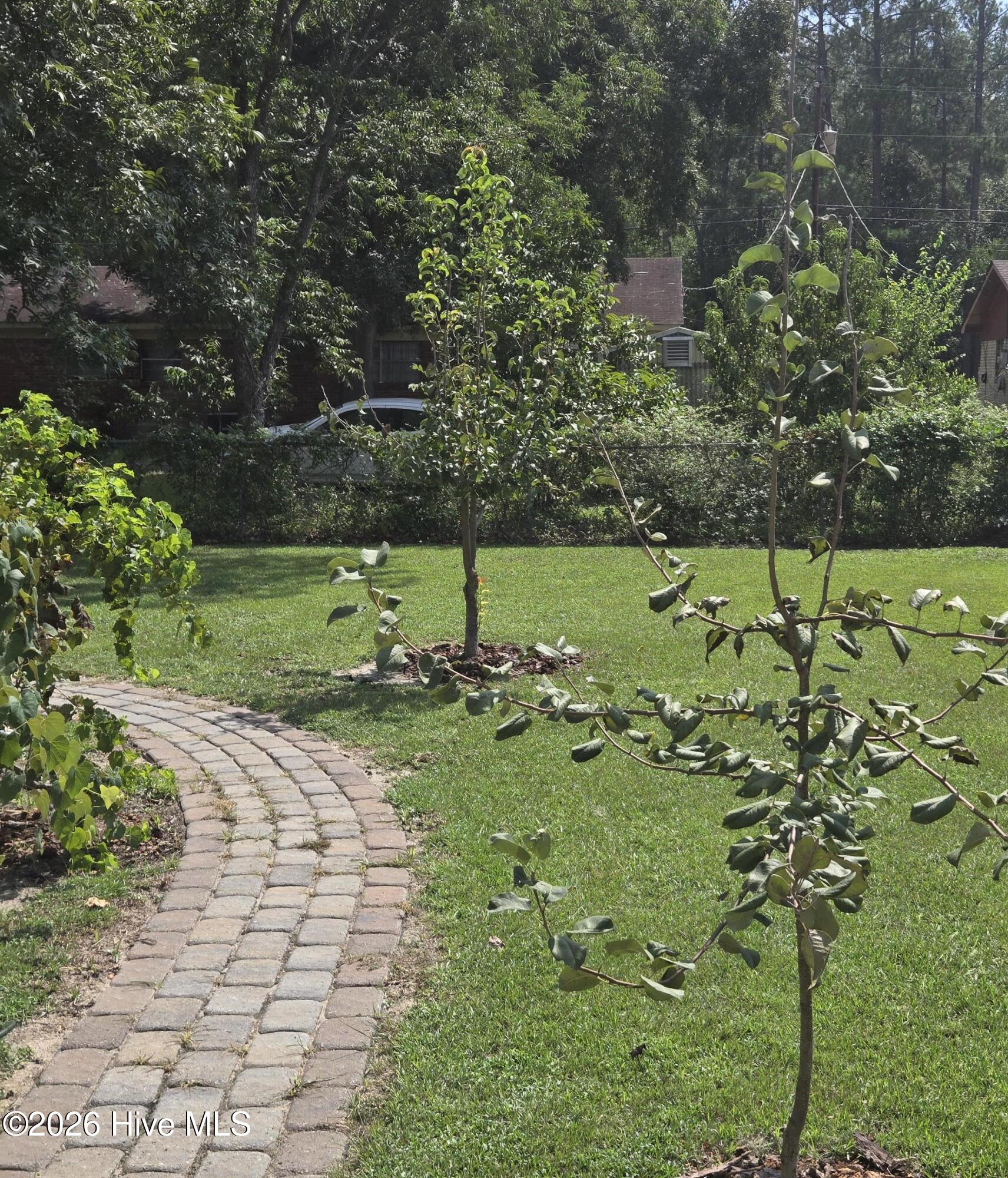 3362 Fashion Drive Property Photo 10