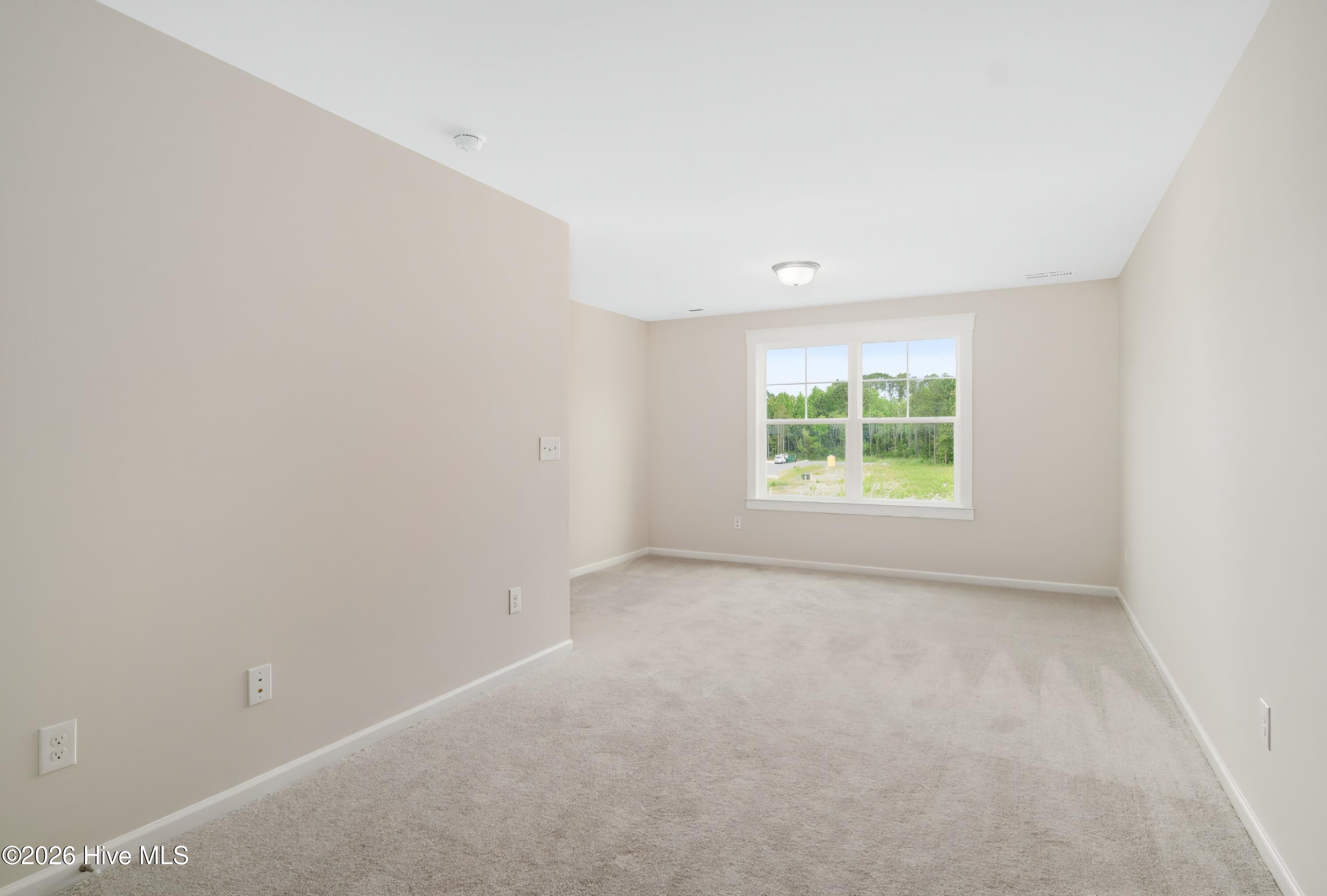 208 Windswept Lane Property Photo 44