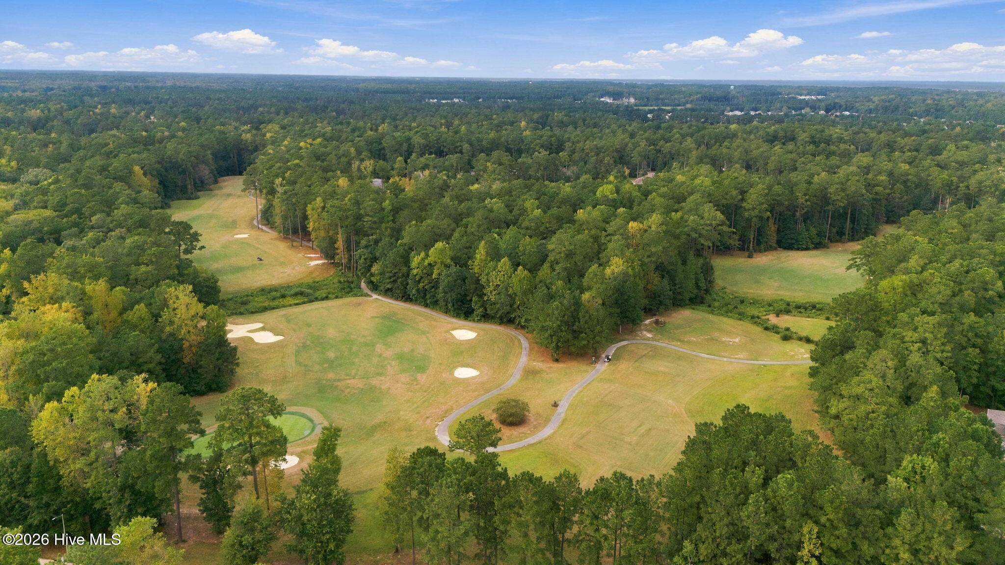 3725 Viridian Trace Property Photo 54