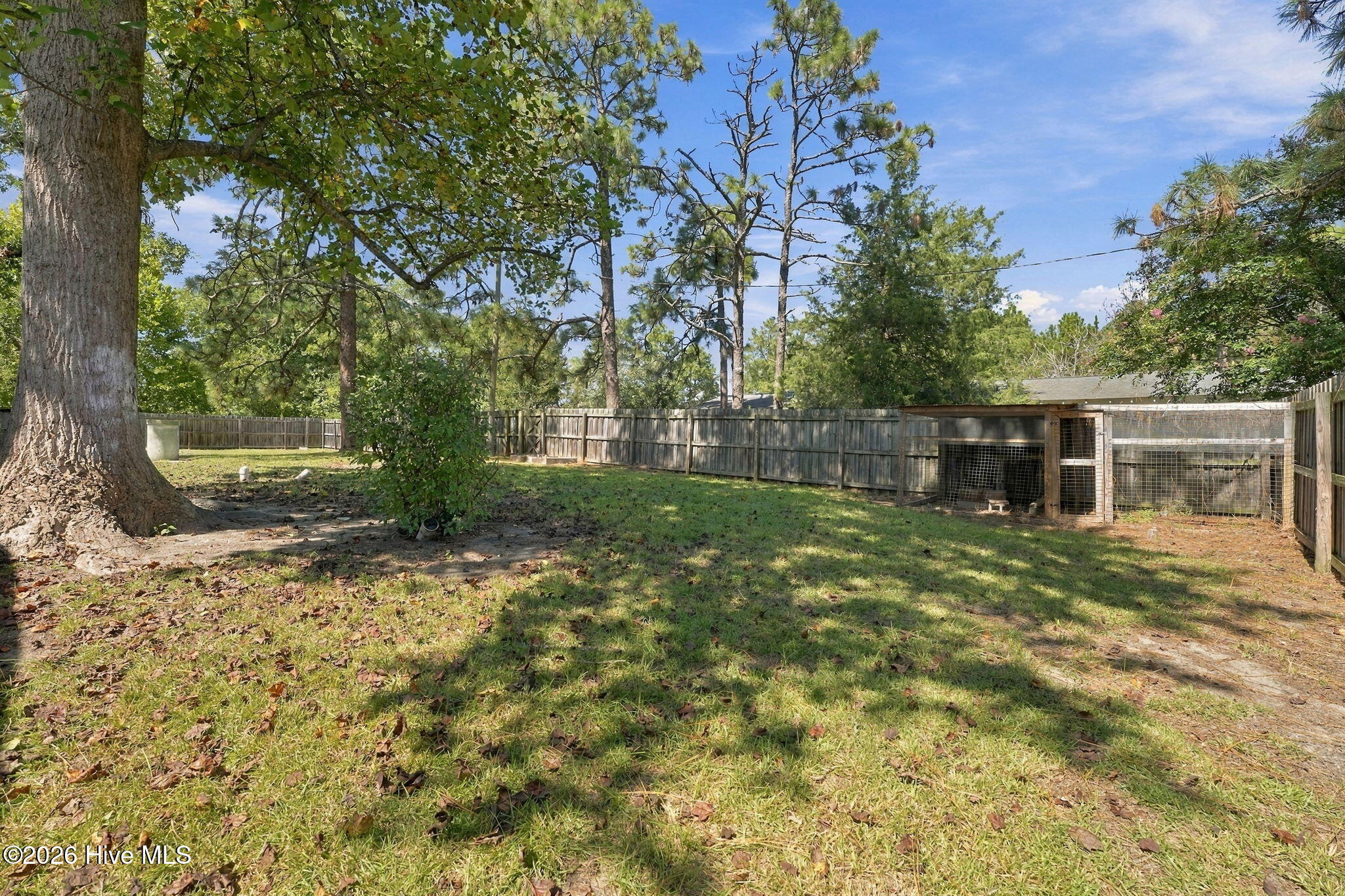 263 Youngs Road Property Photo 31
