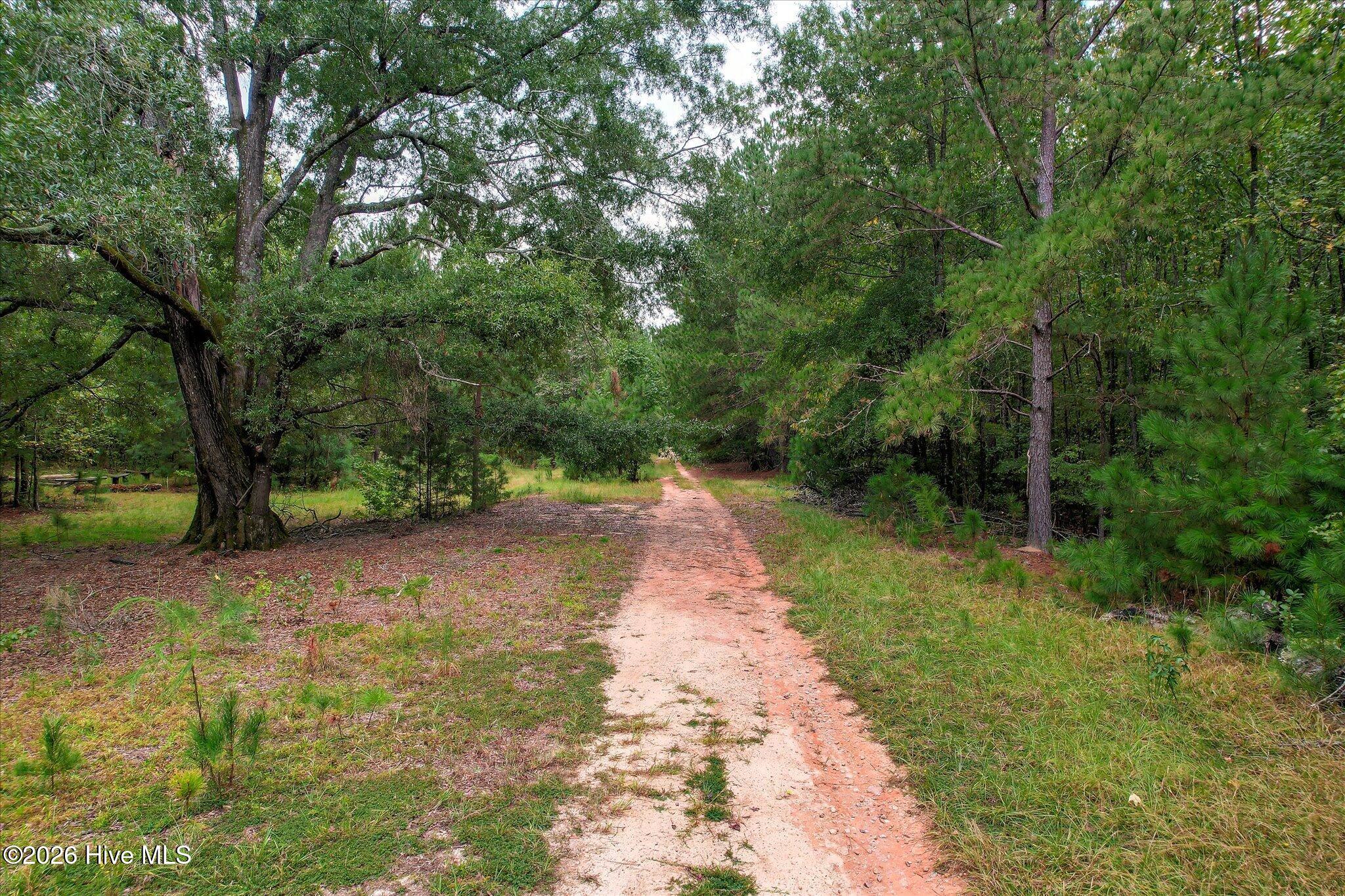 6595 Haywood Drive Property Photo 95