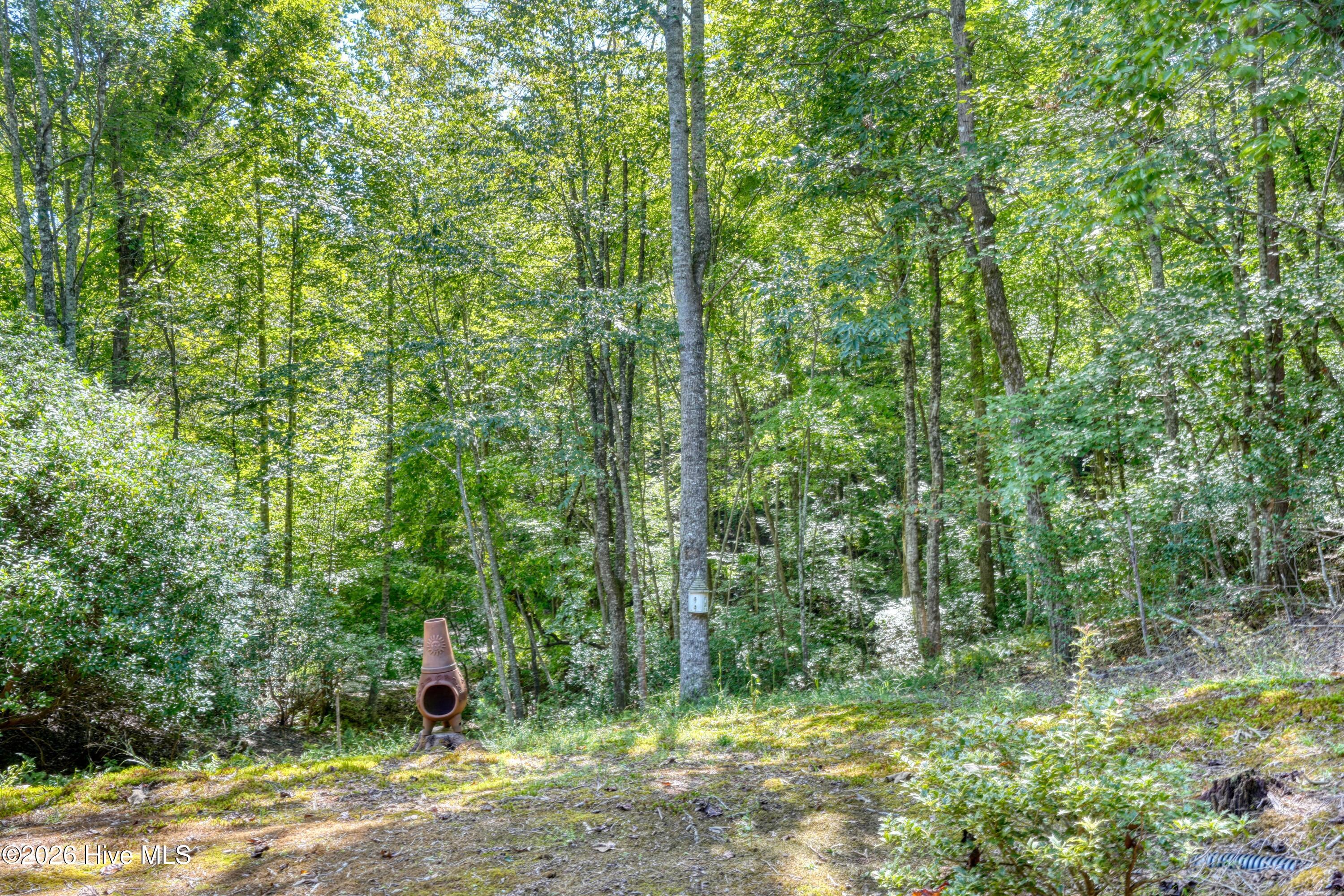 184 Beaver Ridge Road Property Photo 44