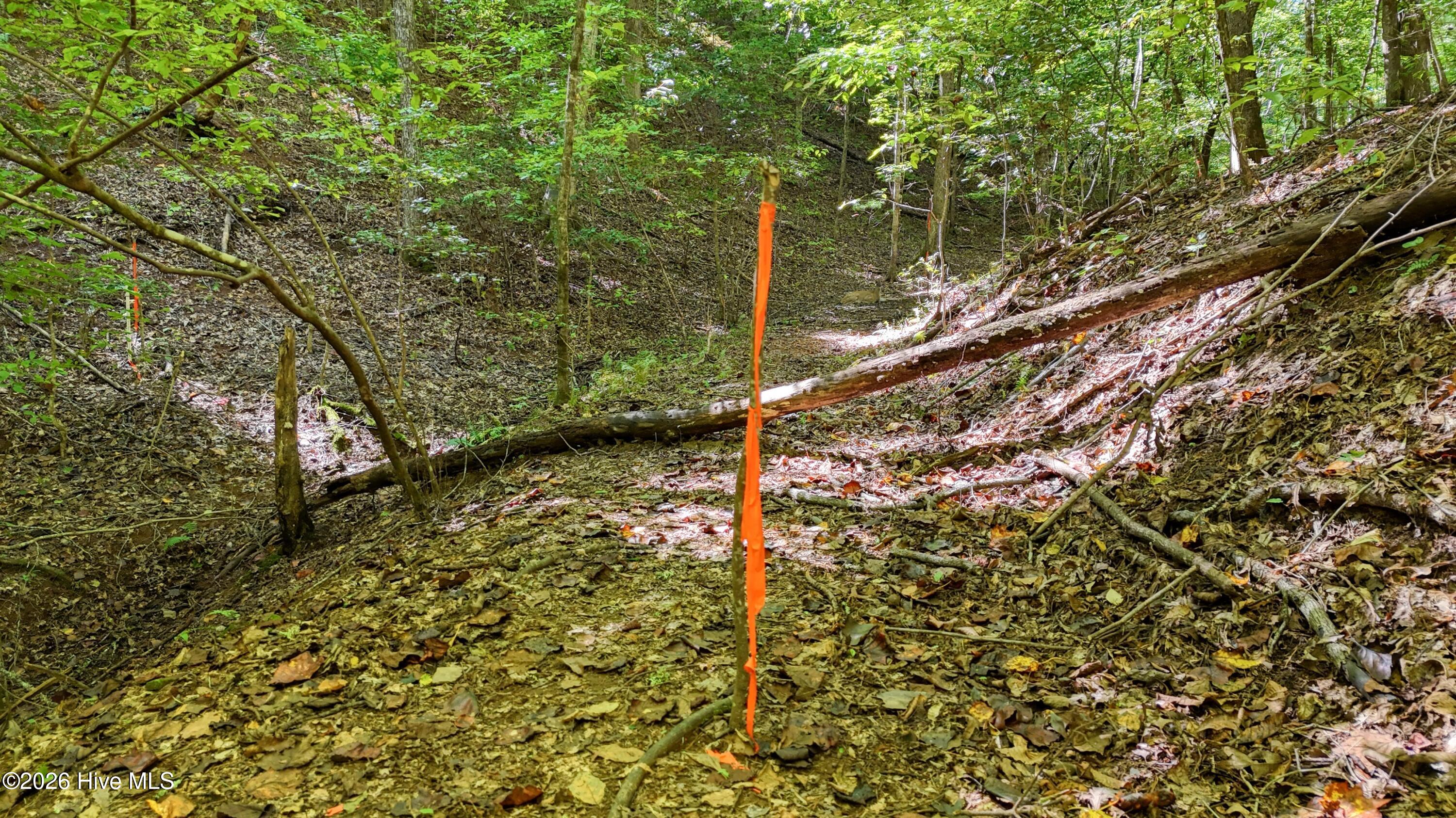 184 Beaver Ridge Road Property Photo 51