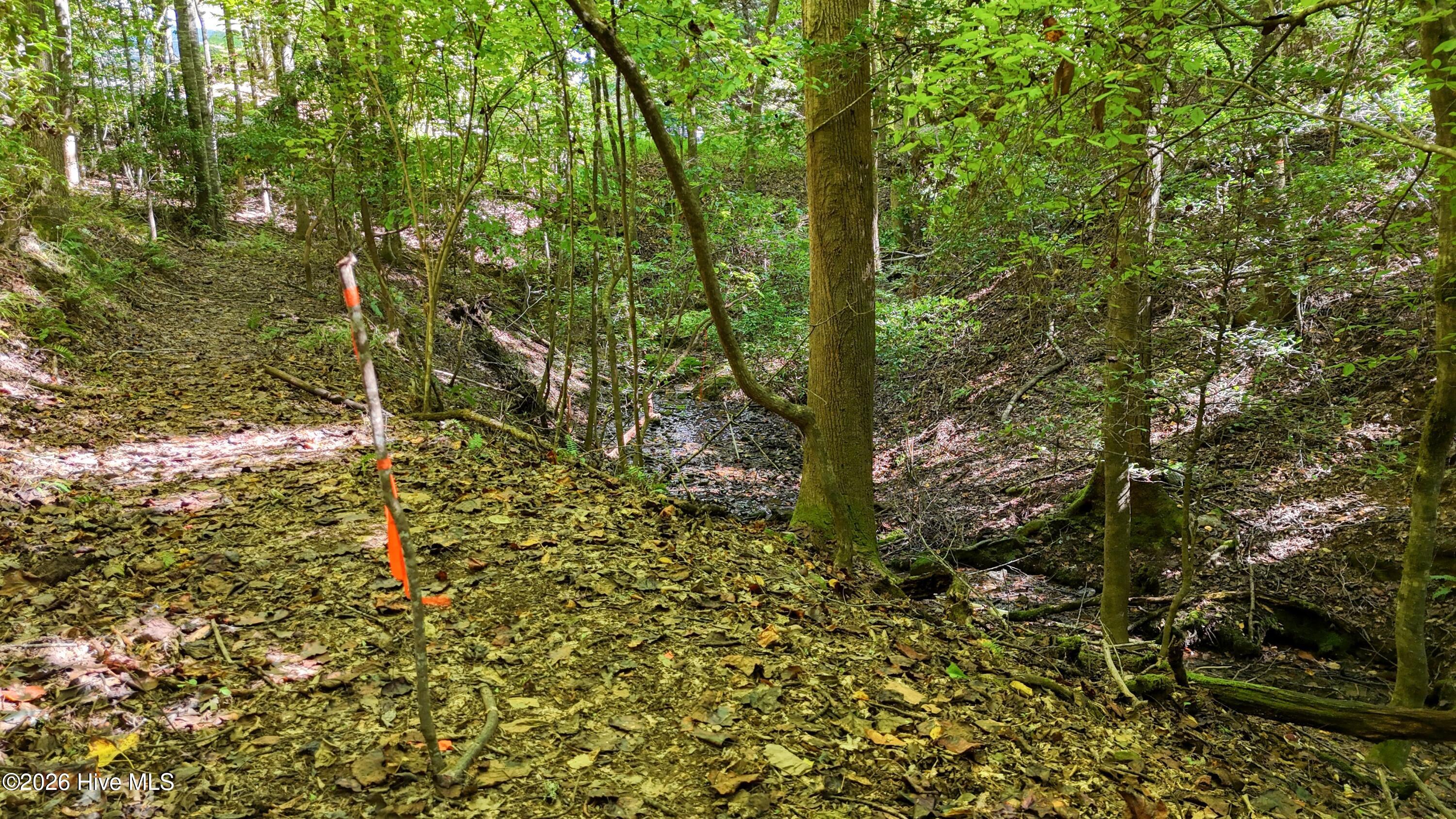 184 Beaver Ridge Road Property Photo 55