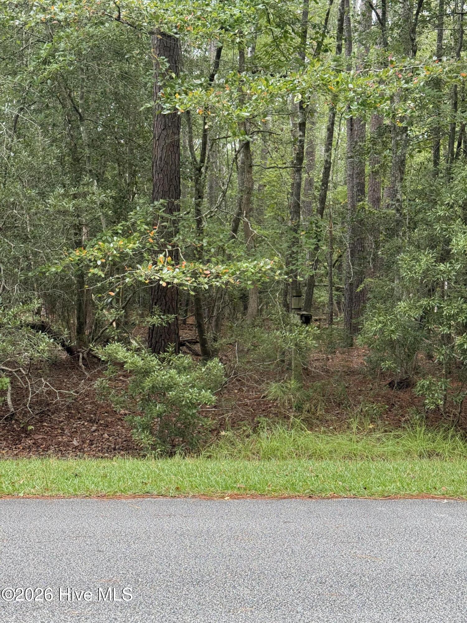 208 Pamlico River Drive