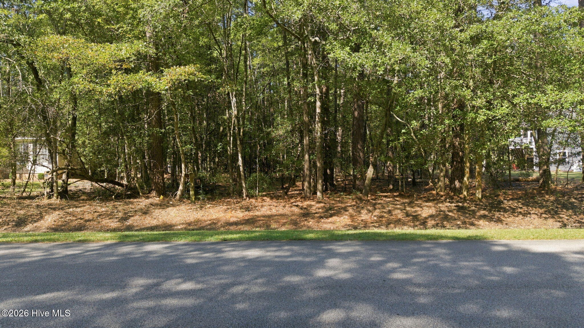 208 Pamlico River Drive Property Photo 2