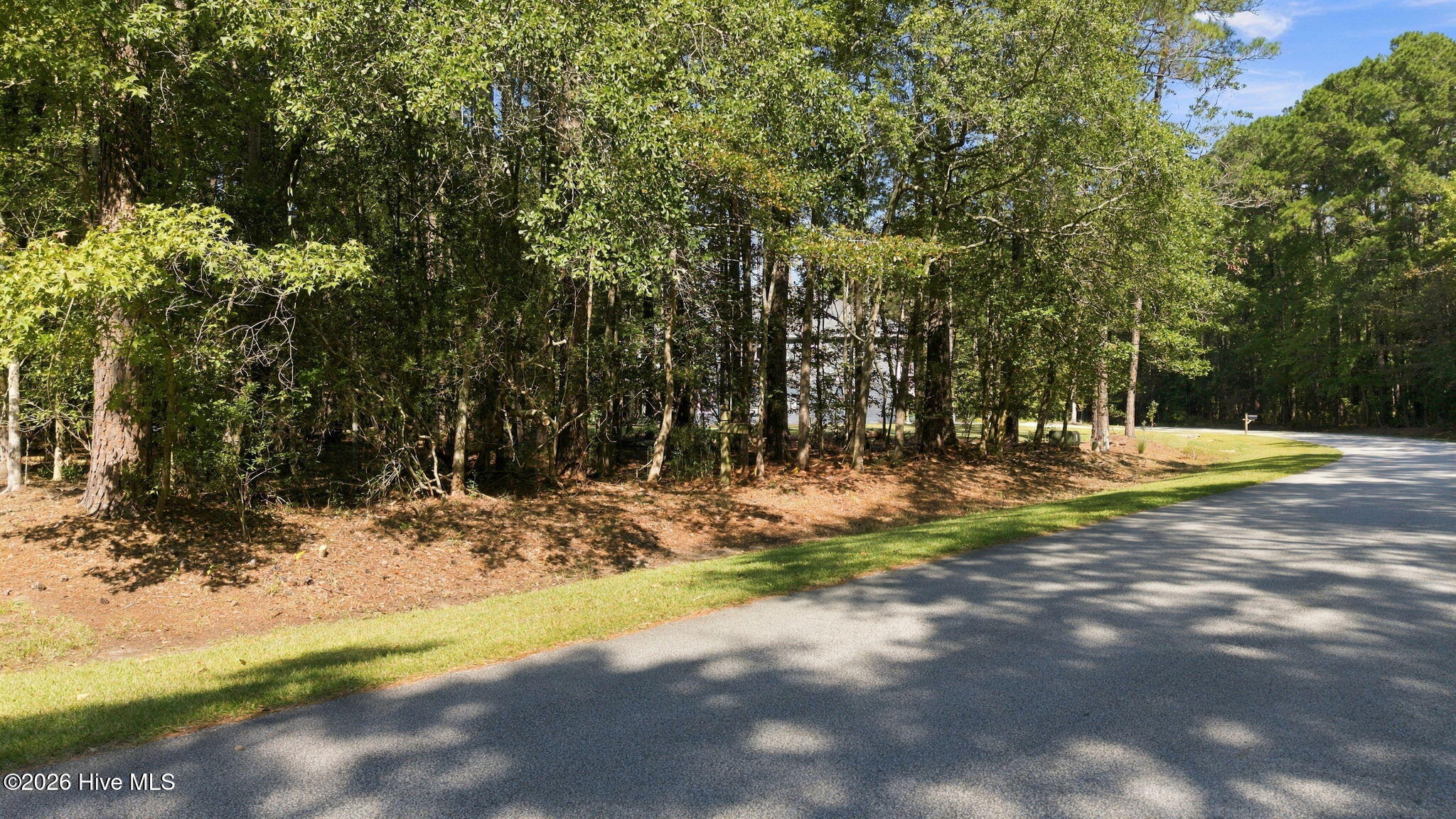 208 Pamlico River Drive Property Photo 3
