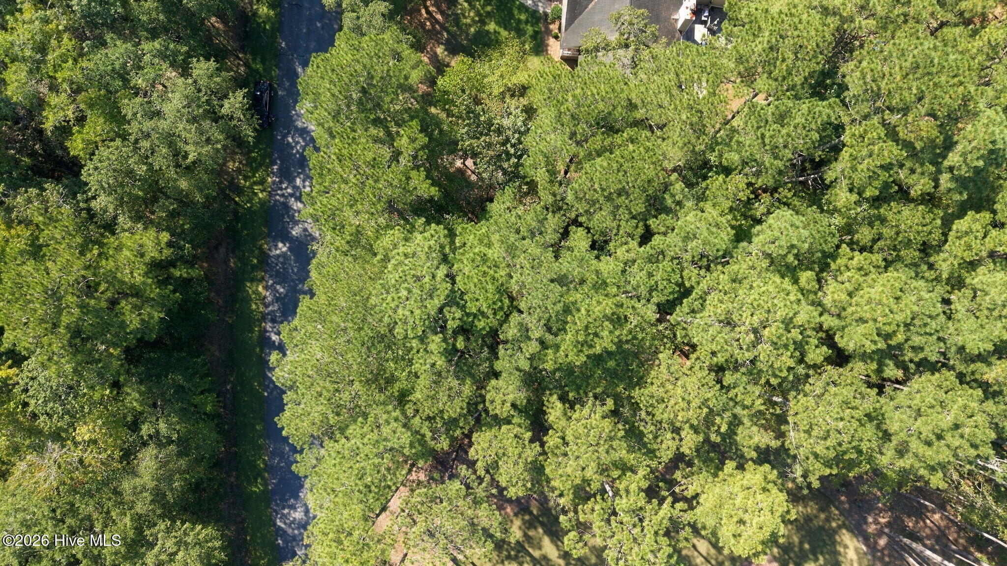 208 Pamlico River Drive Property Photo 4