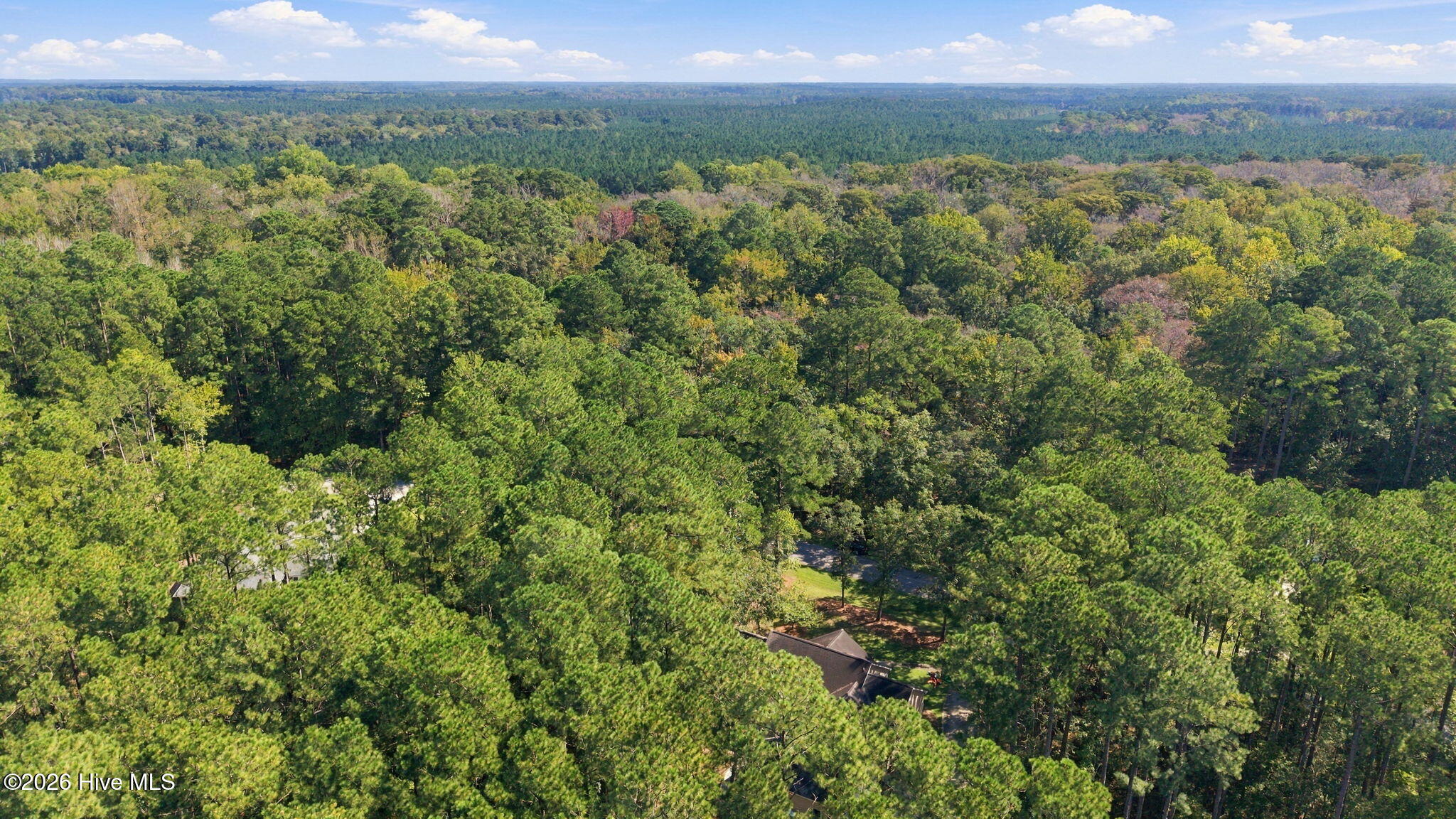 208 Pamlico River Drive Property Photo 9