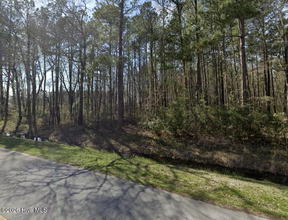 161 Old Washington Road Property Photo 2
