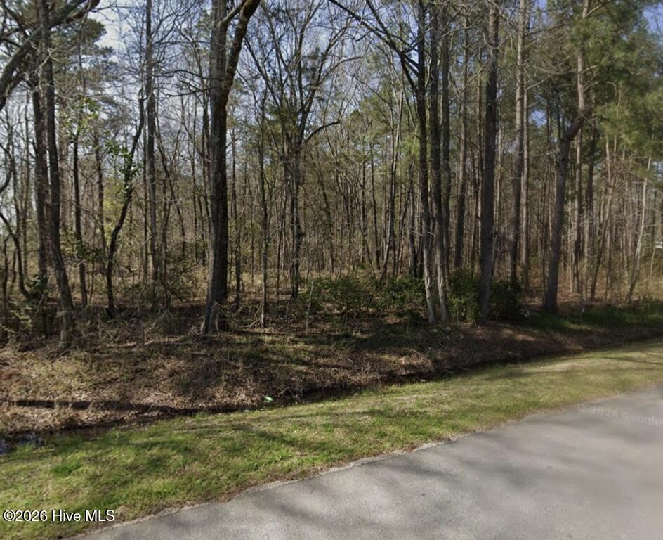 161 Old Washington Road Property Photo 4