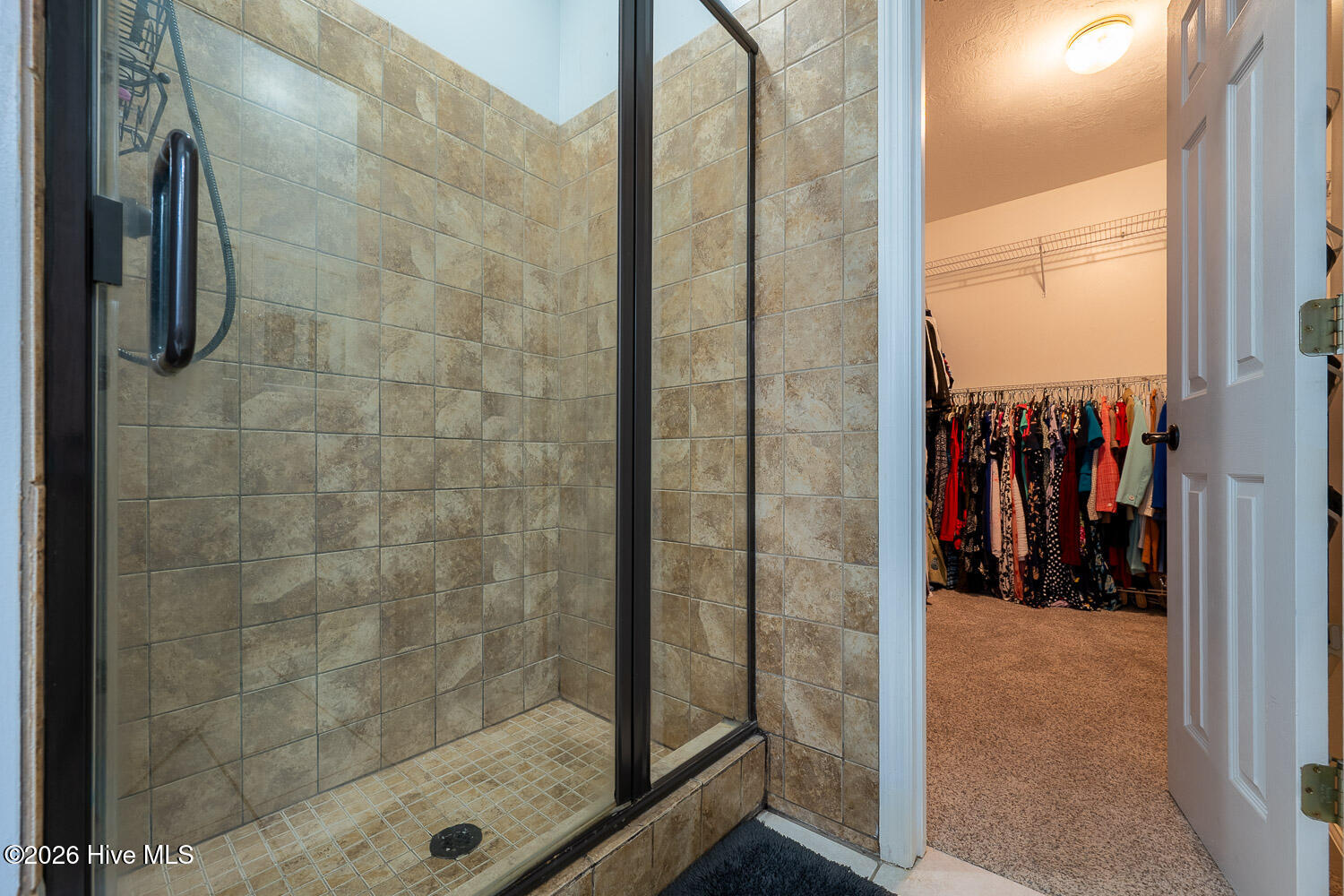 213 Mineral Court Property Photo 20