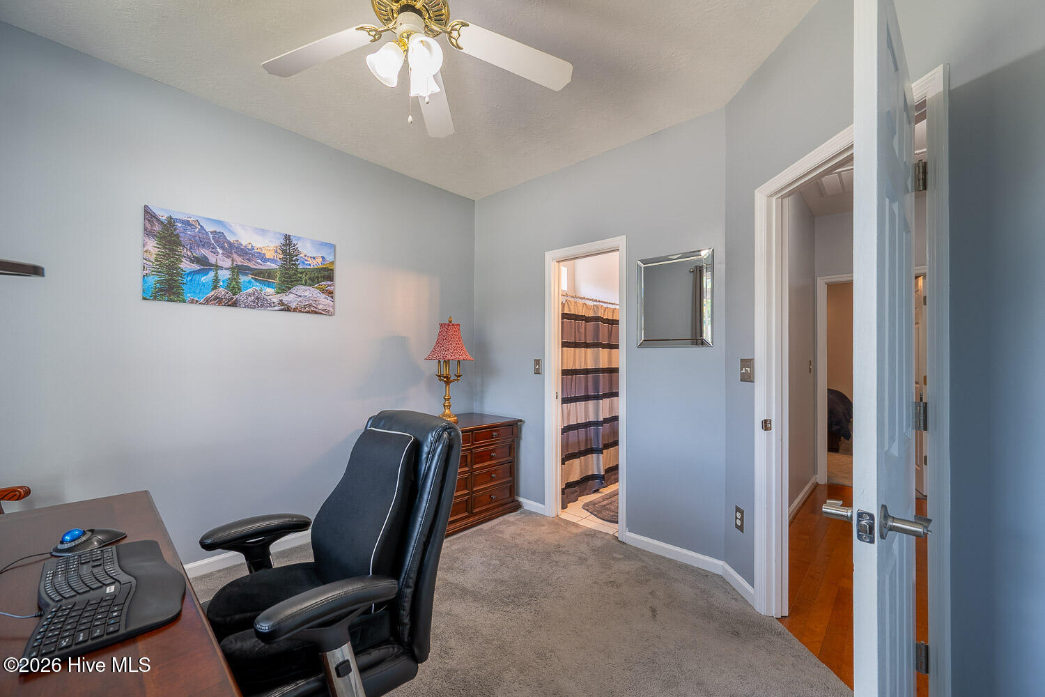 213 Mineral Court Property Photo 24