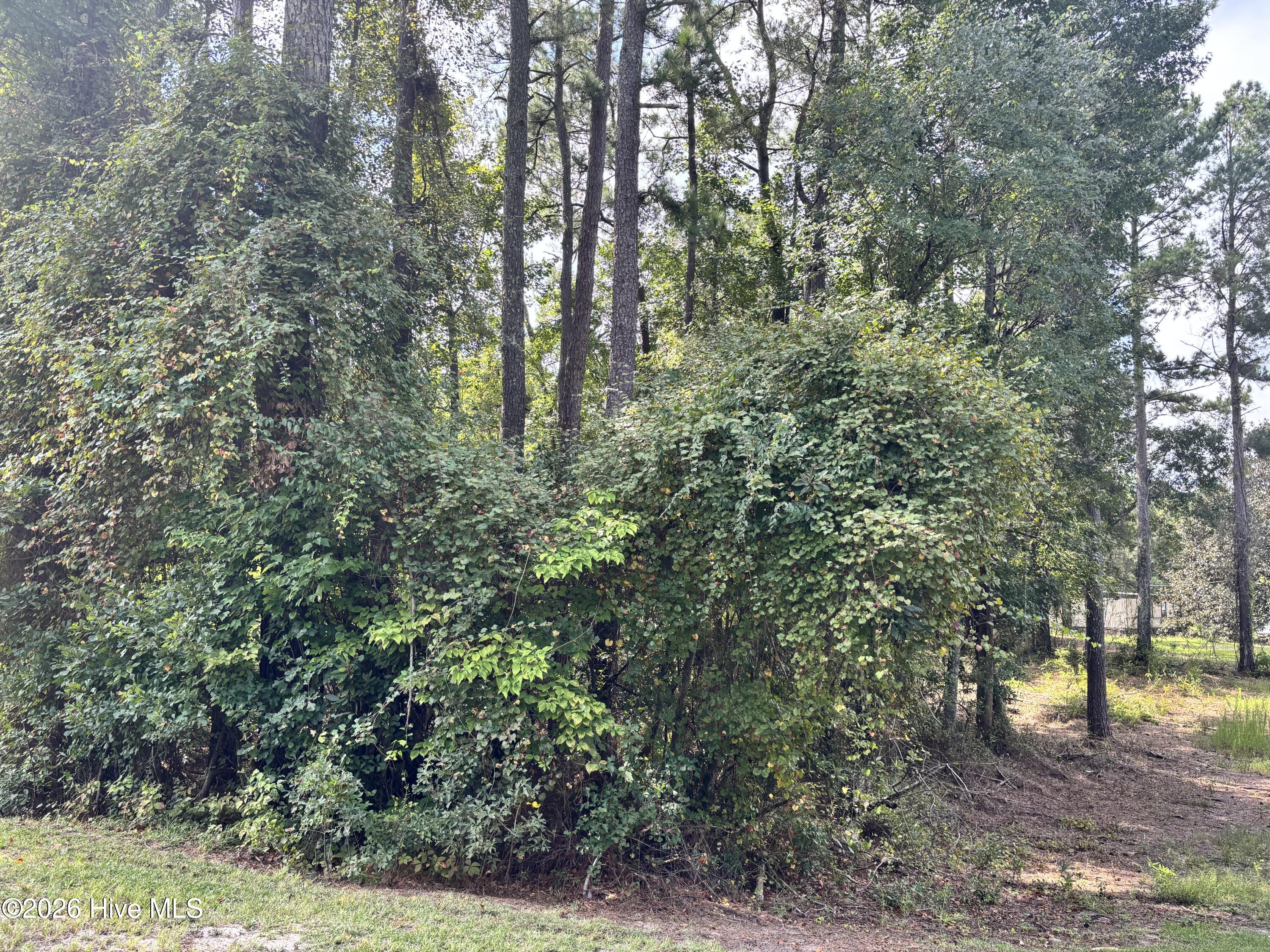 16 A 16a Point Caswell Road Property Photo 1