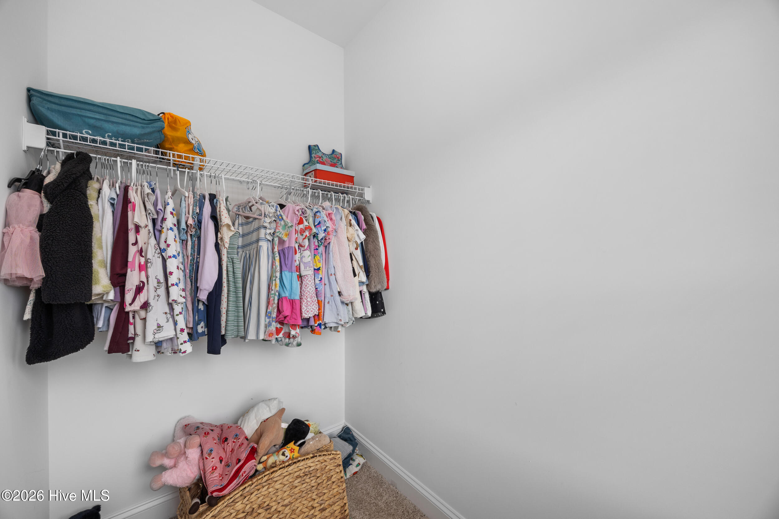 424 Northern Pintail Place Property Photo 43
