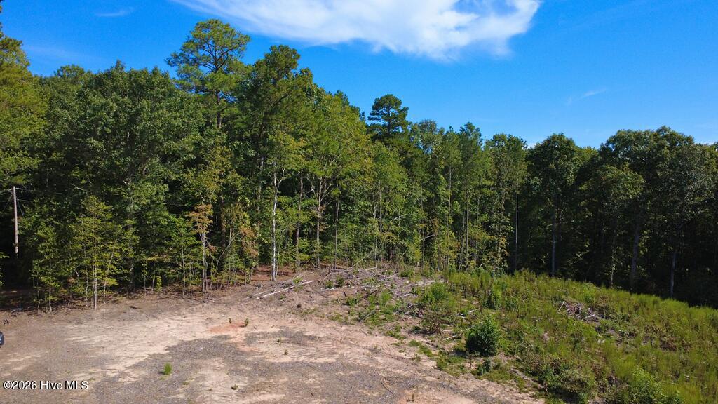 Tbd Dunhams Creek Lane Property Photo 3