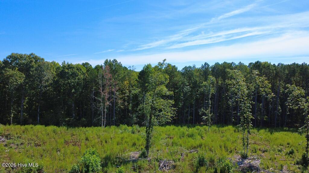 Tbd Dunhams Creek Lane Property Photo 4