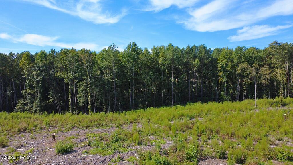 Tbd Dunhams Creek Lane Property Photo 5