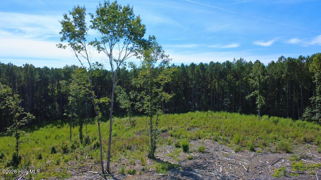 Tbd Dunhams Creek Lane Property Photo 6