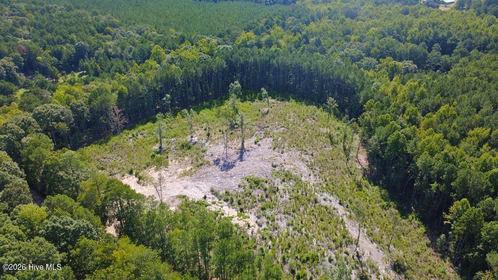 Tbd Dunhams Creek Lane Property Photo 12