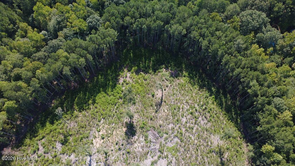 Tbd Dunhams Creek Lane Property Photo 13